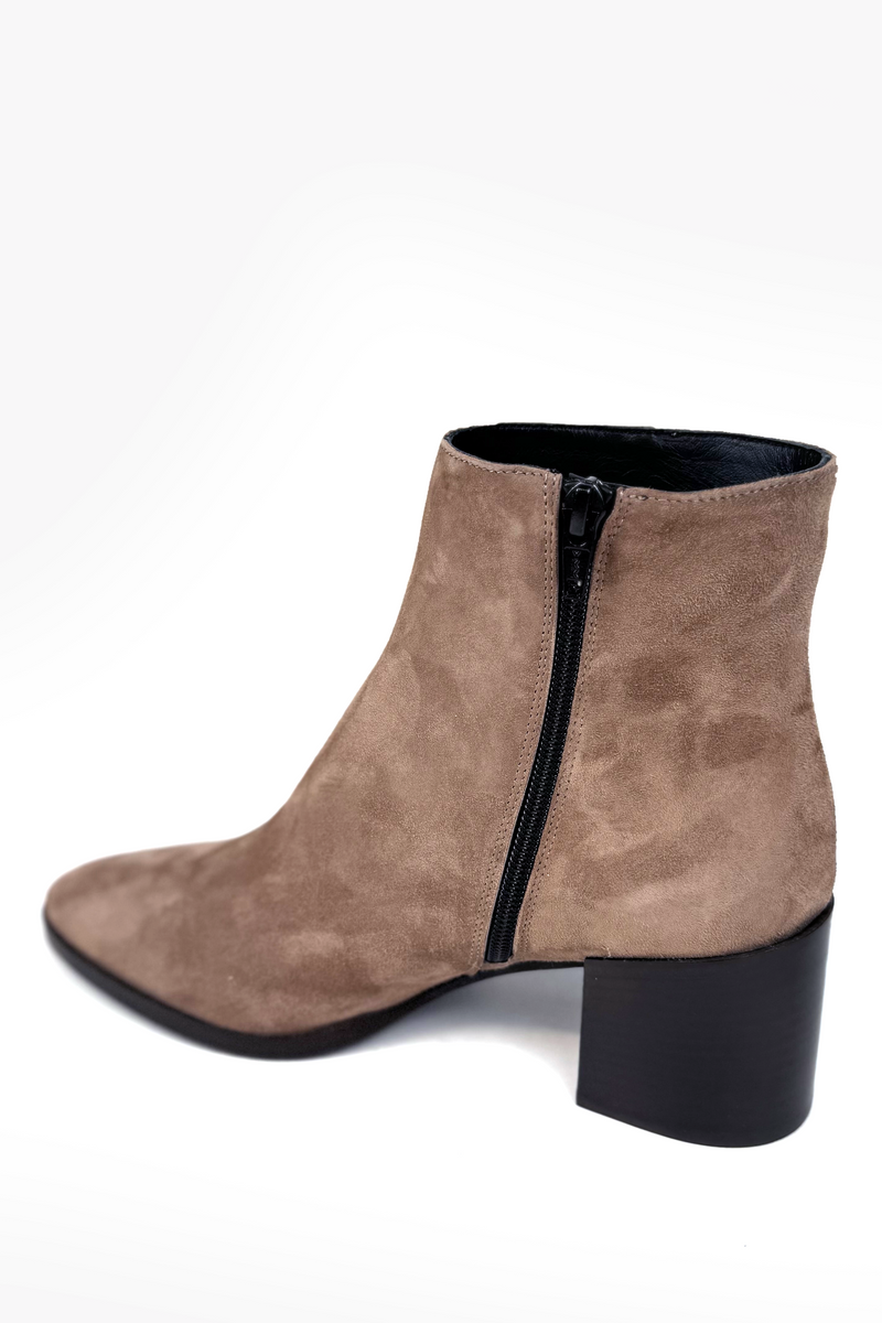 Suede ankle boots Gioia